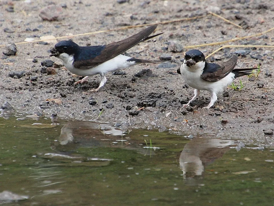 Фото: Александр Куличенко