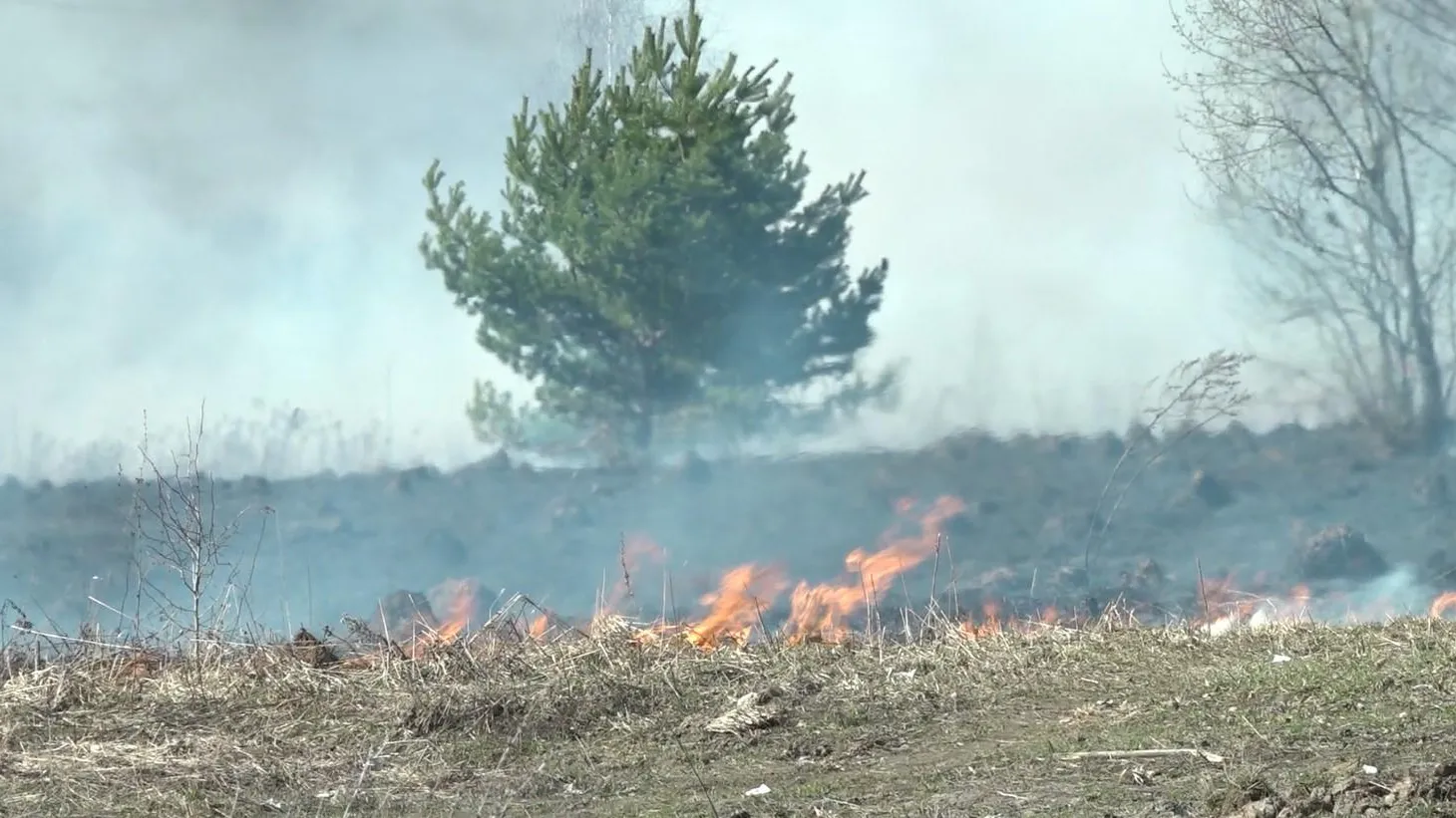 Фото: Н. Надточая