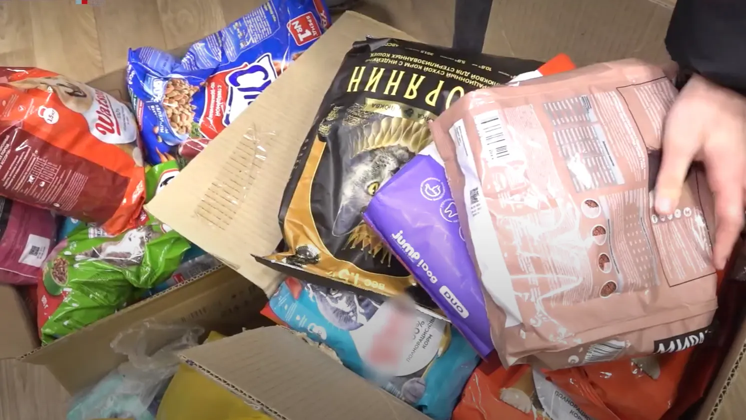 Телеканал 360