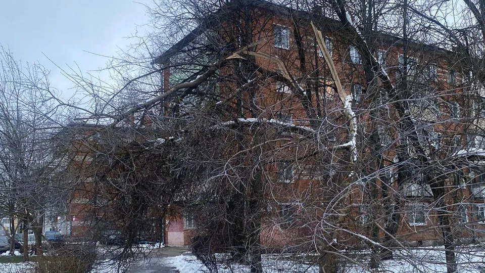 Фото: администрация г.о. Шаховская