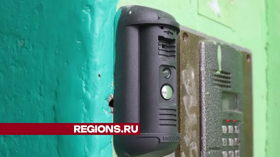 Фото: Василий Тремасов / Regions