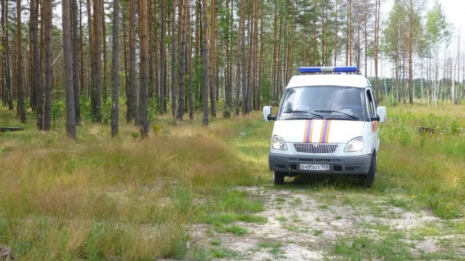 Фото: ГКУ МО «Мособлпожспас»