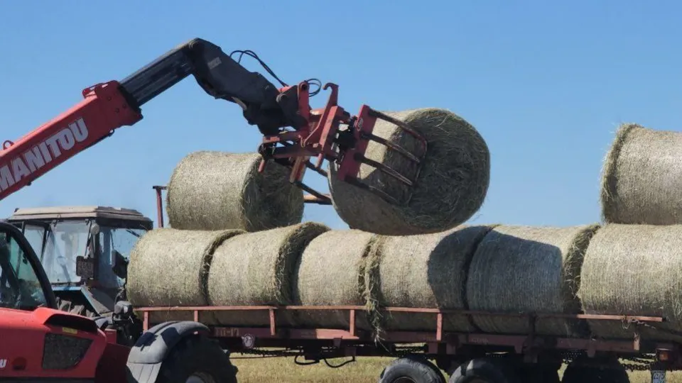 Фото: администрация м. о. Луховицы