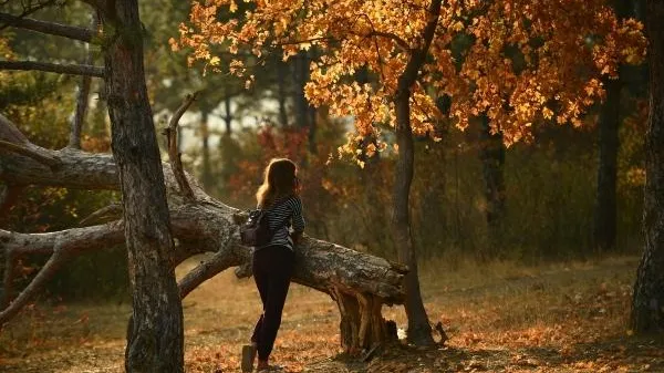 Православным христианам рассказали, почему в Григорьев день опасно гулять по лесу