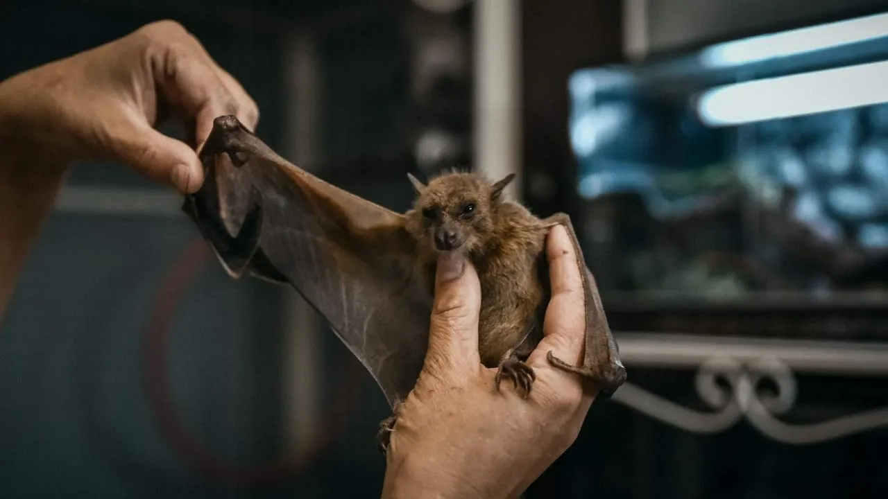 из личного архива Ирины Калининой