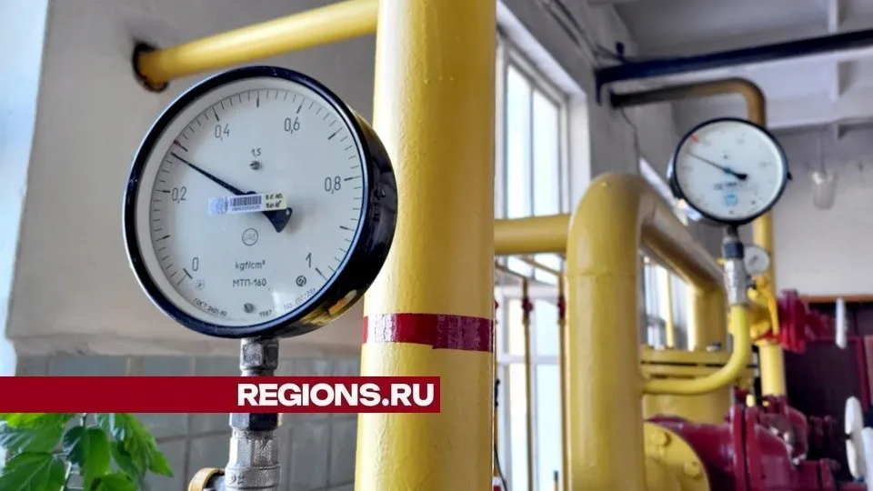 Фото: REGIONS/Александр Дрожжин