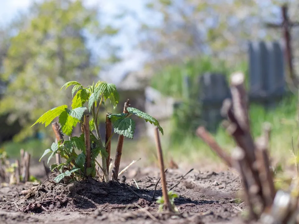 Фото: istockphoto.com