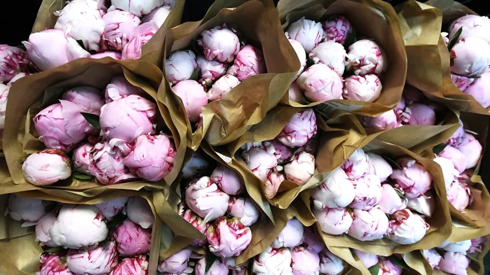 Фото: РИА Новости/Виталий Аньков