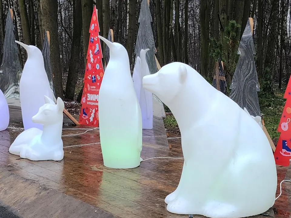 Фото: REGIONS/Нина Басистая