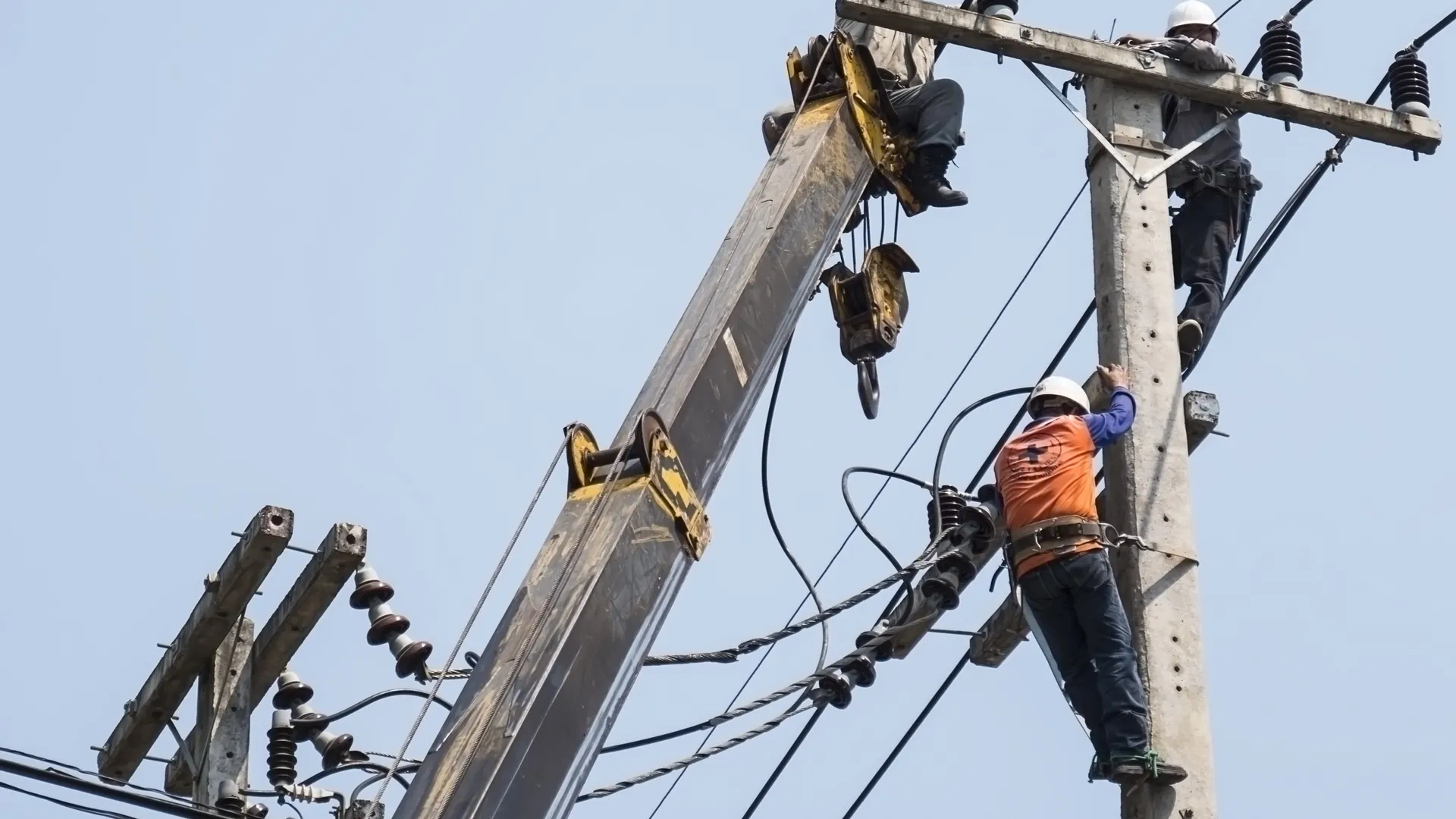 Фото: freepik.com