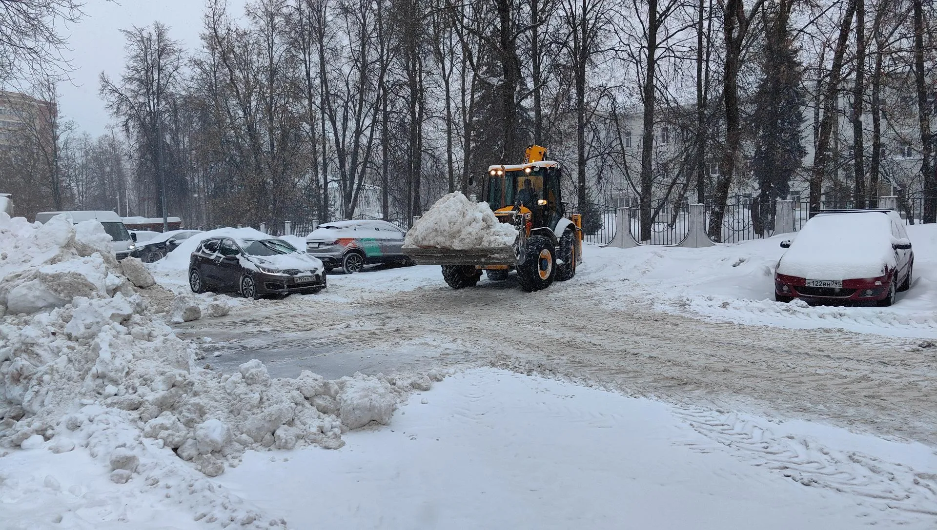 Елена Катасонова