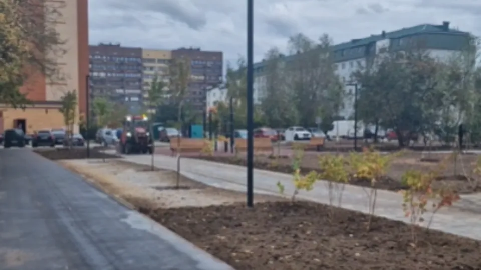 Фото: Министерство благоустройства Московской области