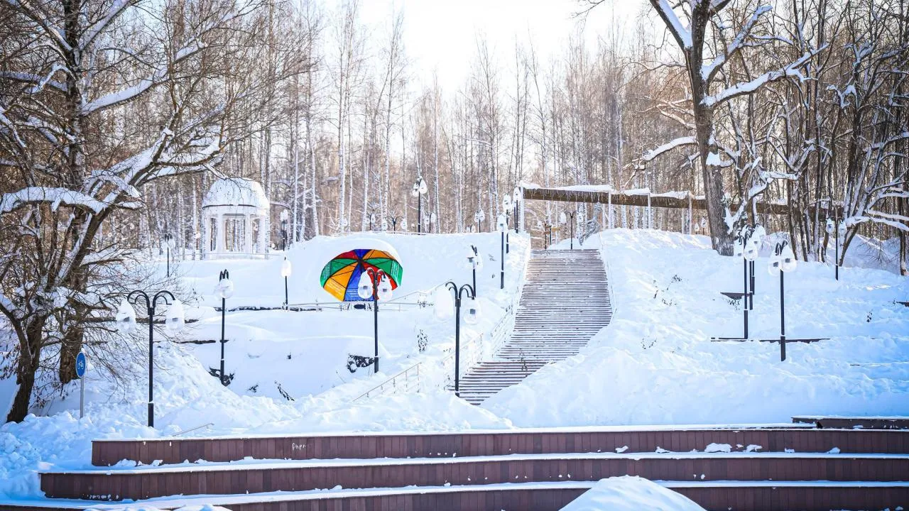 МедиаБанк Подмосковья/Данила Кирьянов