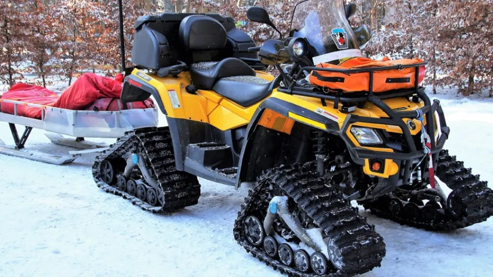 Фото: pxhere.com