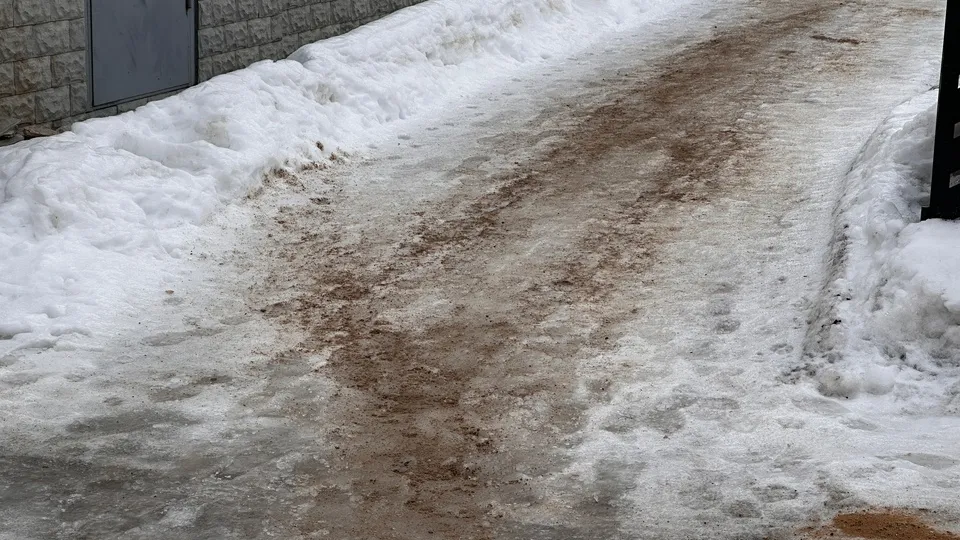 Фото: МедиаБанк Подмосковья/Данила Кирьянов