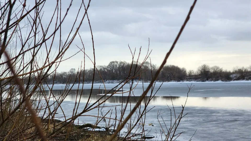 Фото: МедиаБанк Подмосковья/Анна Шолохова