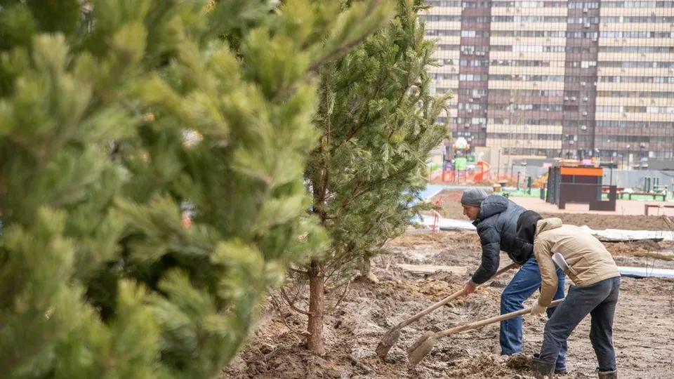 Фото: администрация г.о. Реутов