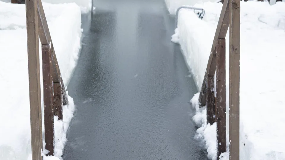 Фото: пресс-служба администрации г.о. Ленинский