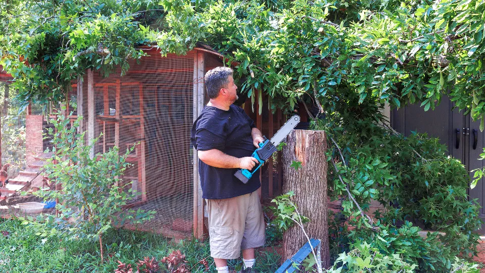 Фото: istockphoto.com/photovs