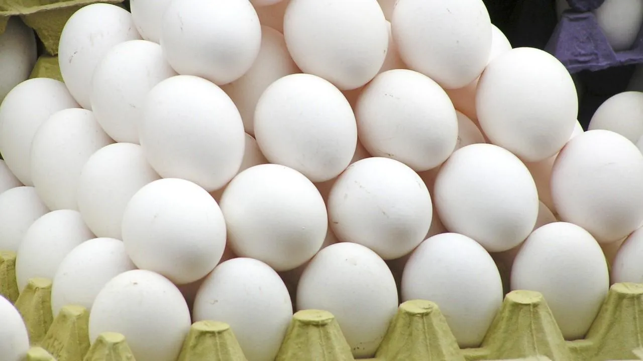 «Руспродсоюз»: цены на яйца снизятся после Нового года