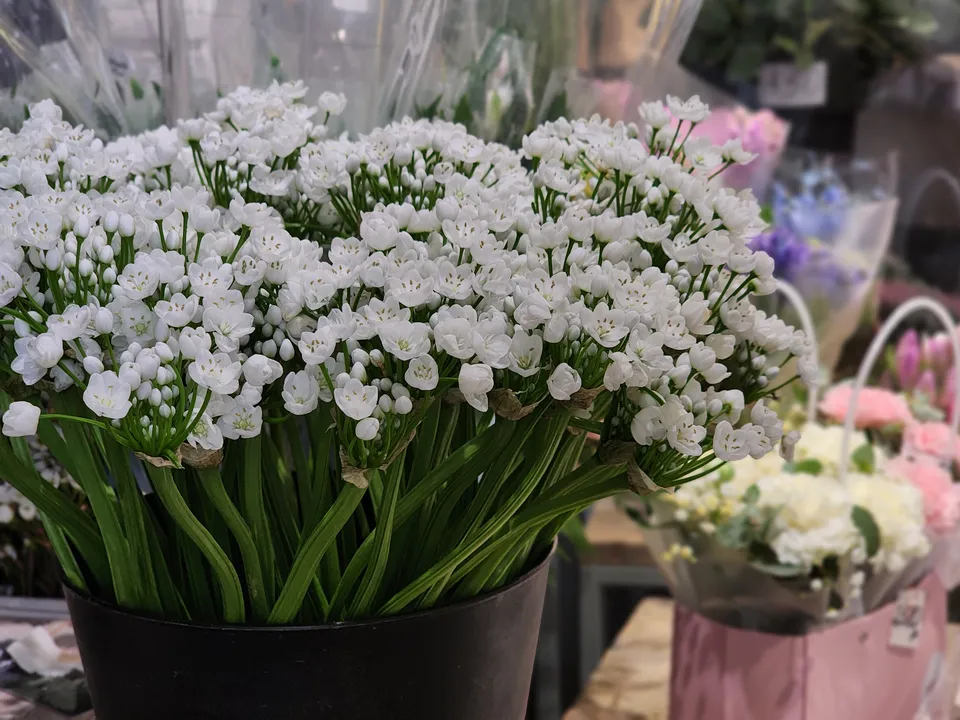 Фото: МедиаБанк Подмосковья/Валерия Тингаева