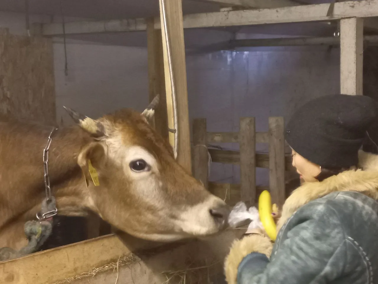 Фото: Елена Шумакова