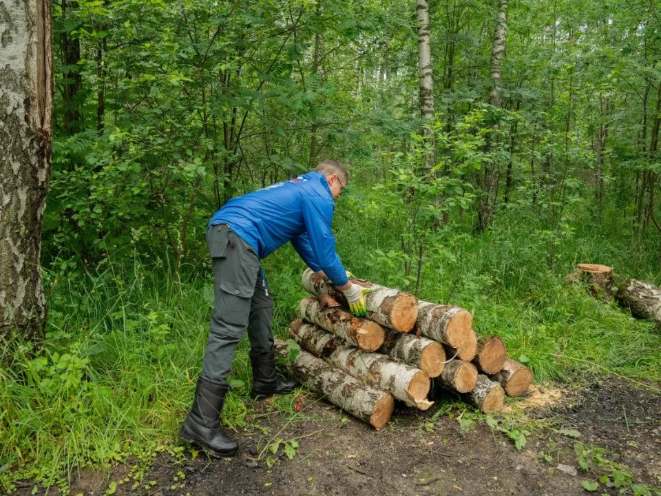 Фото: Комитет лесного хозяйства Московской области