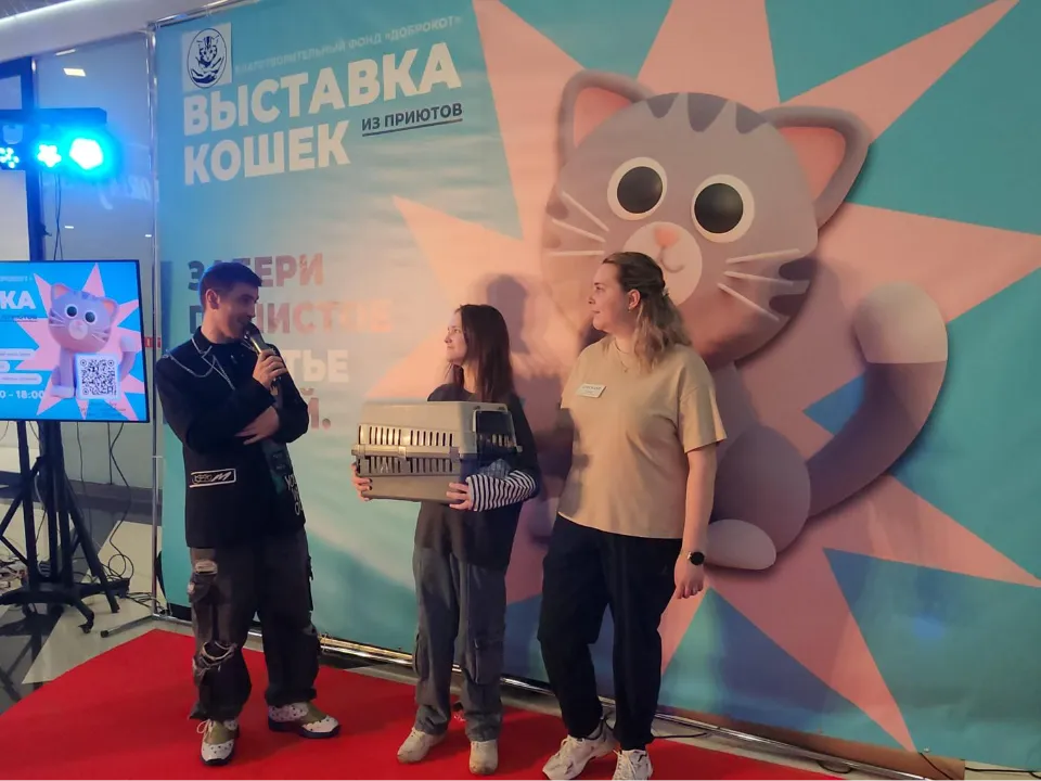 Фото: МедиаБанк Подмосковья/Наталья Лымарь