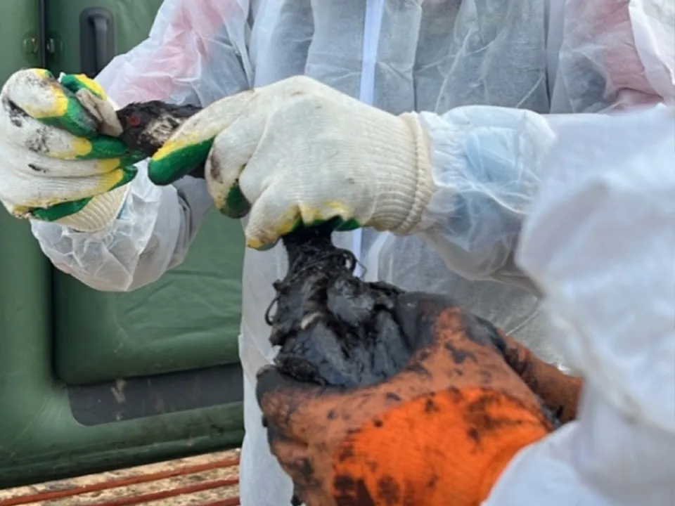 Фото: Раиса Горохова