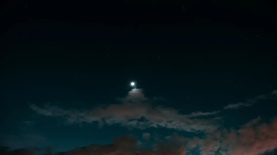 Фото: pxhere.com