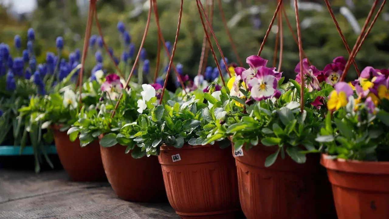 REGIONS/Наталья Надточая