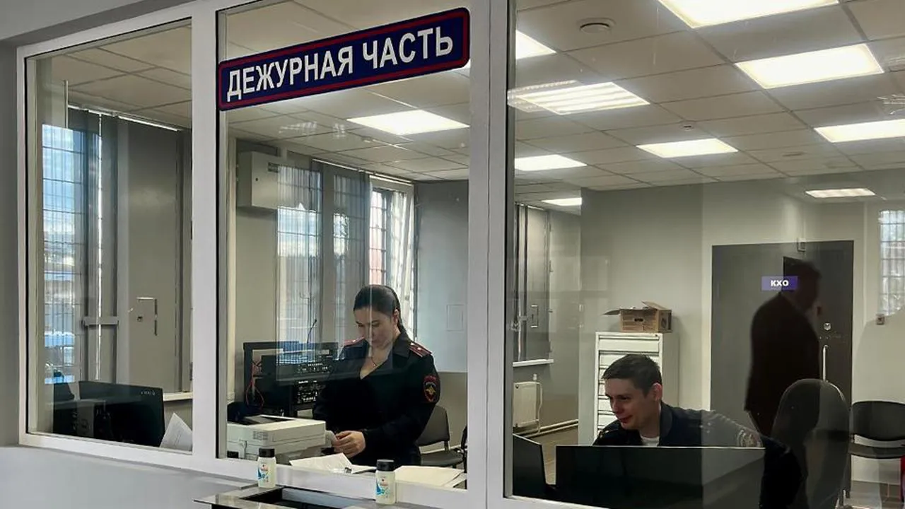 МедиаБанк Подмосковья/Анна Тюрюмина