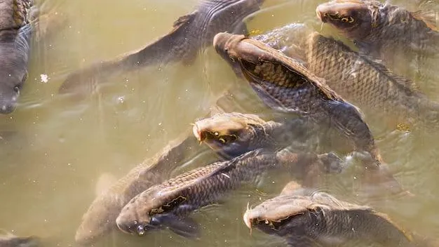 Фото Ульянов А.И.