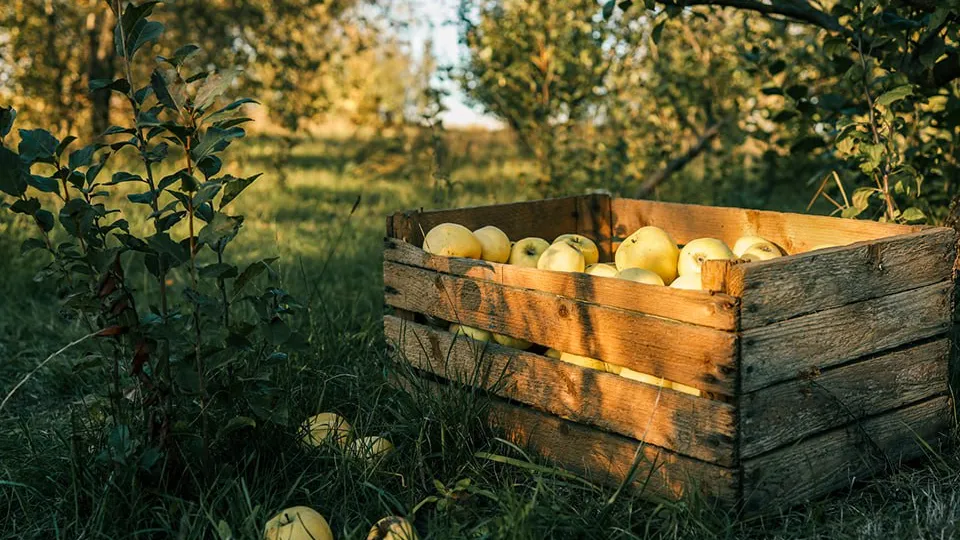 Фото: istockphoto.com