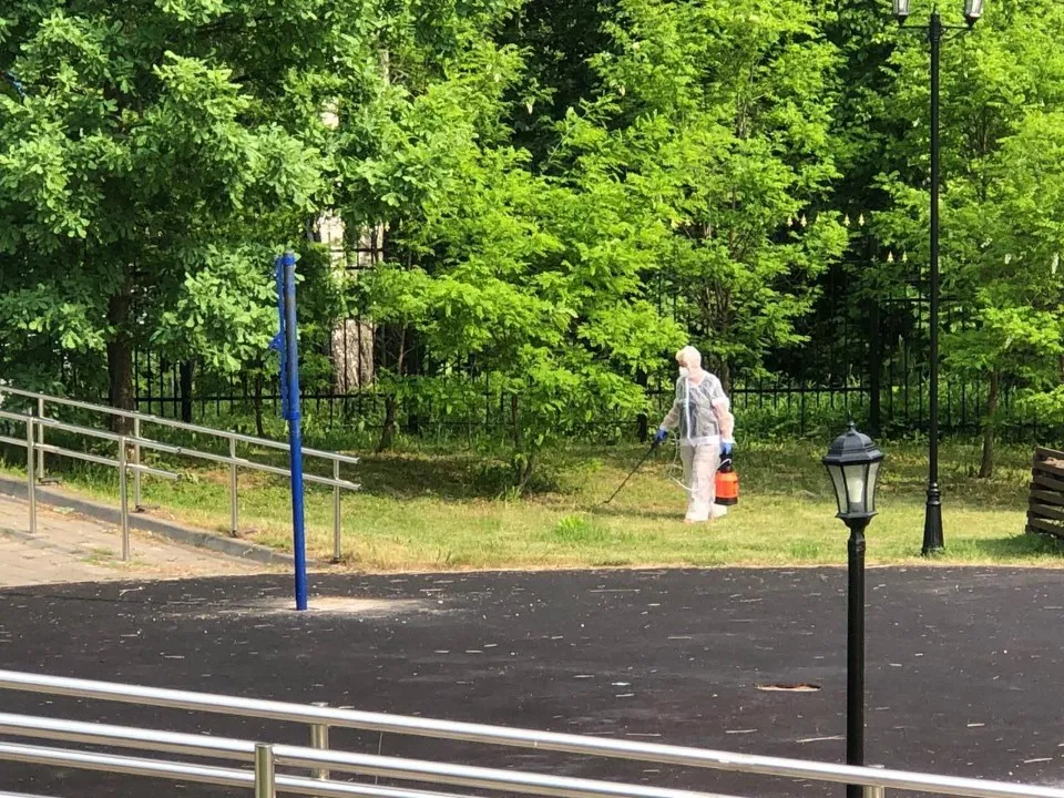 Фото: t.me/park_pokrovskiy