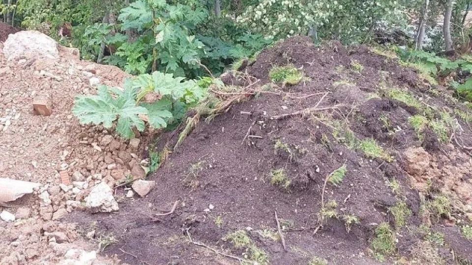 Фото: Министерство экологии и природопользования Московской области