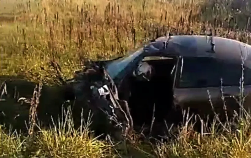Фото: скрин с видео ГКУ МО «Мособлпожспас»