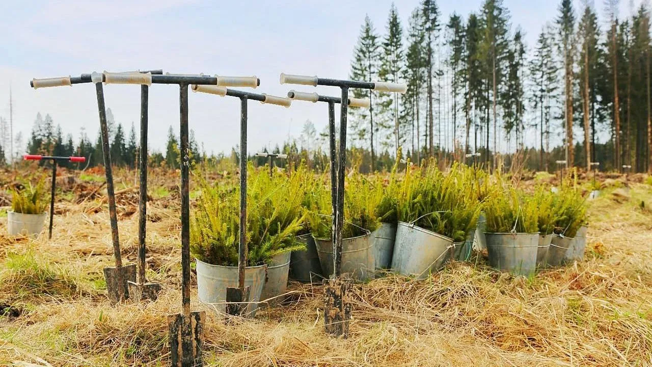 Фото: Комлесхоз МО