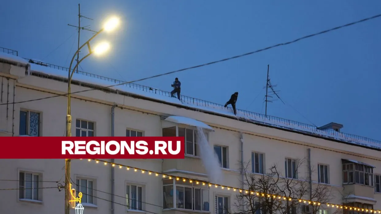 Фото: Дмитрий Зайчиков