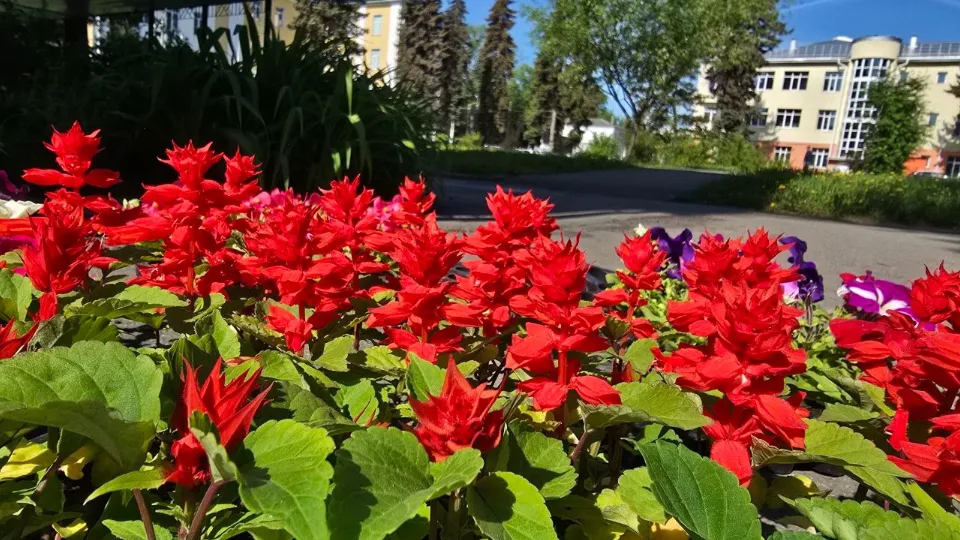 Фото: Коломенская больница