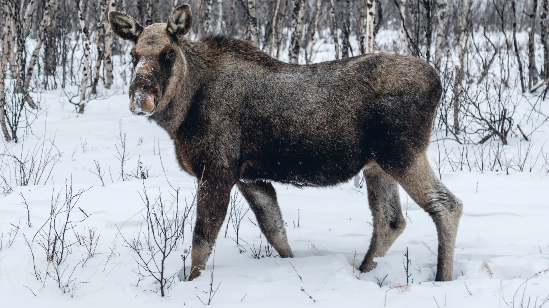 Фото: freepik.com