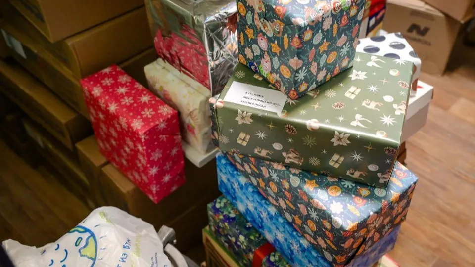 Фото: пресс-служба администрации Сергиево-Посадского городского округа