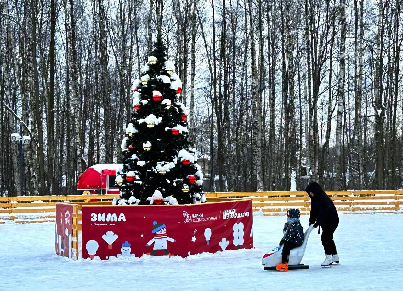 Фото: телеграм-канал «Парки Электростали»