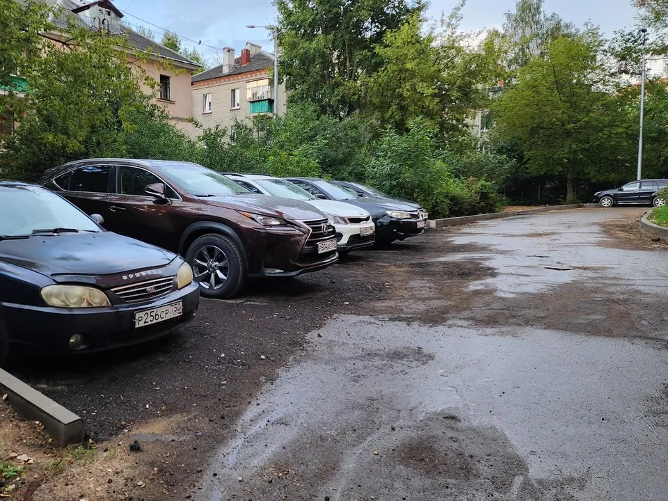 Фото: Ольга Фельдфебелева