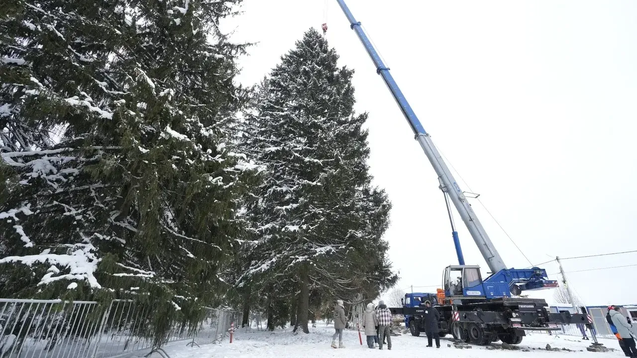Автор фото: Дмитрий Белицкий