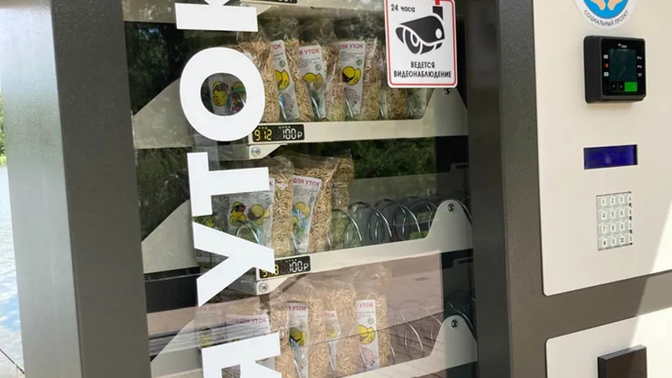 Фото: Медиабанк Подмосковья/Валентина Максимова