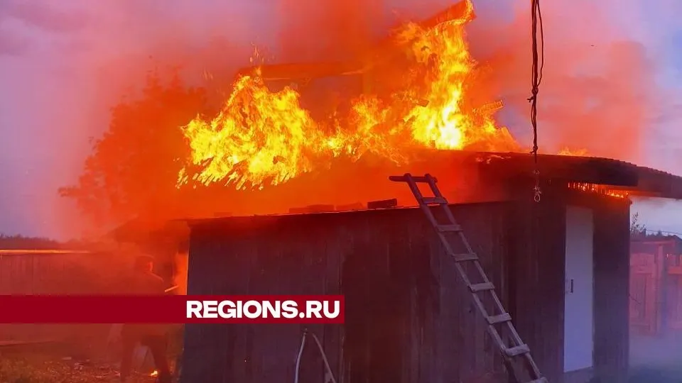 Фото: пресс-служба администрации городского округа Луховицы