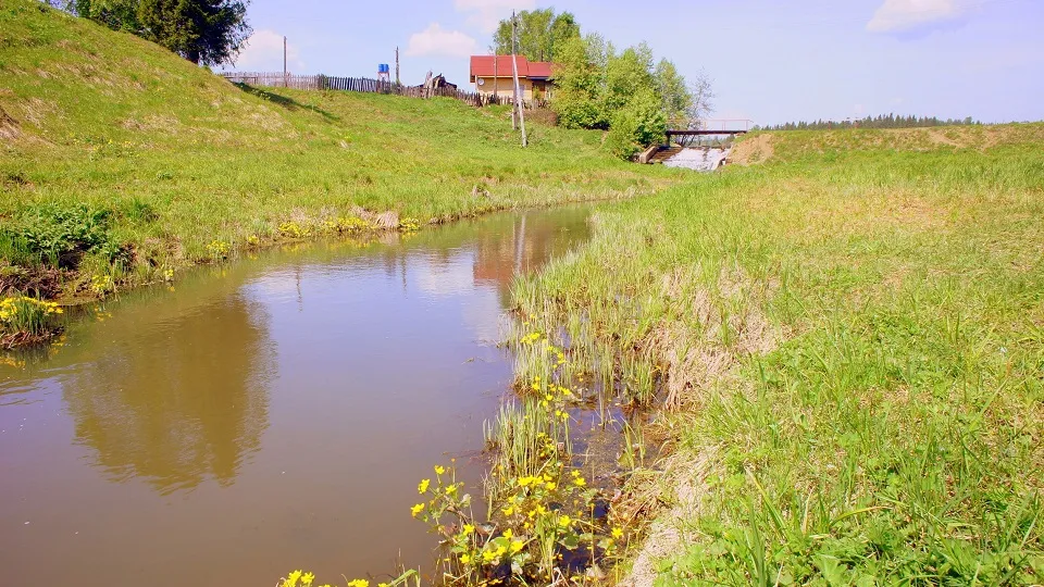 Фото: pxhere.com