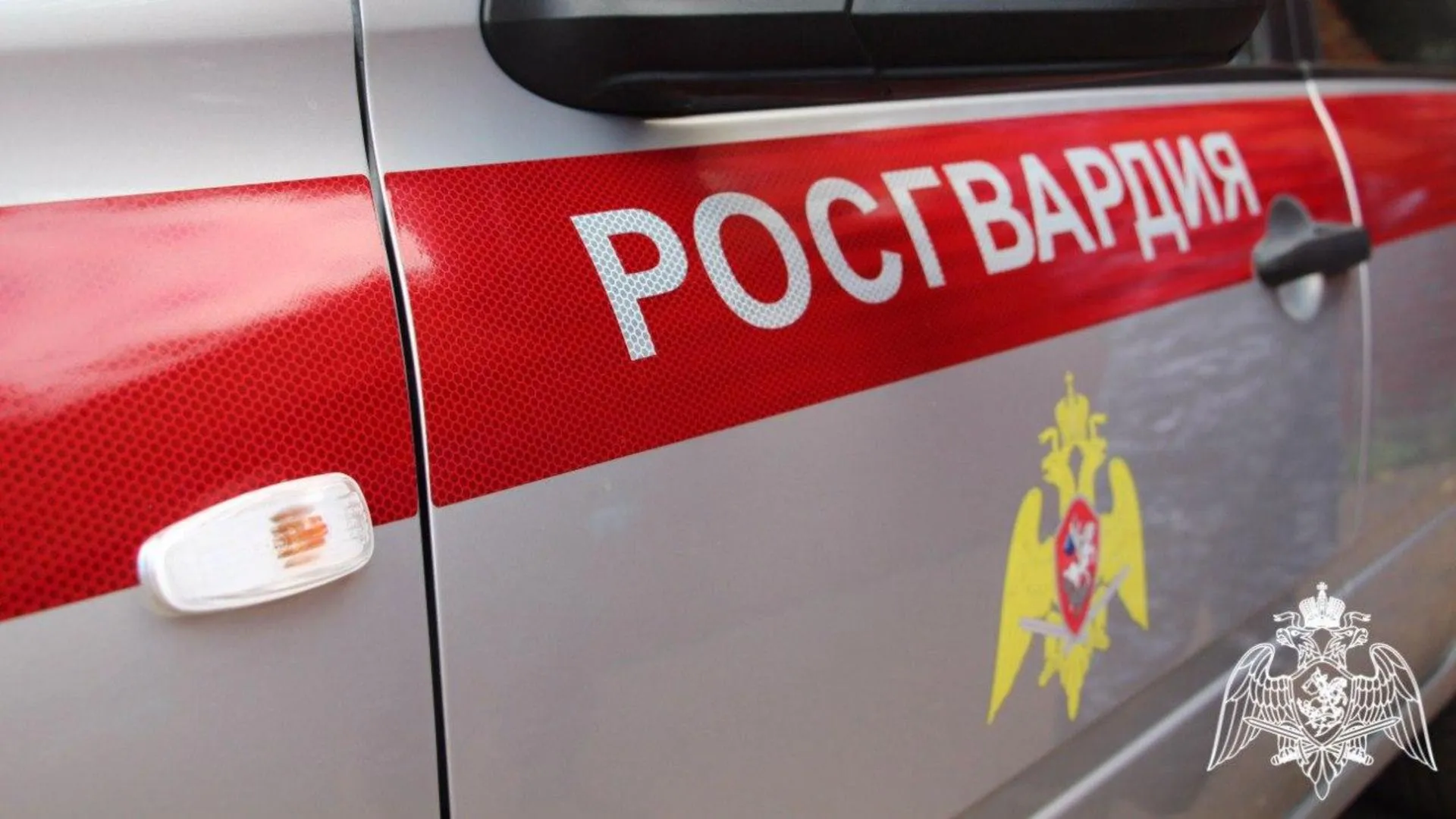 «Во имя любви»: мужчину, подозреваемого в краже женской одежды, задержали в Подмосковье