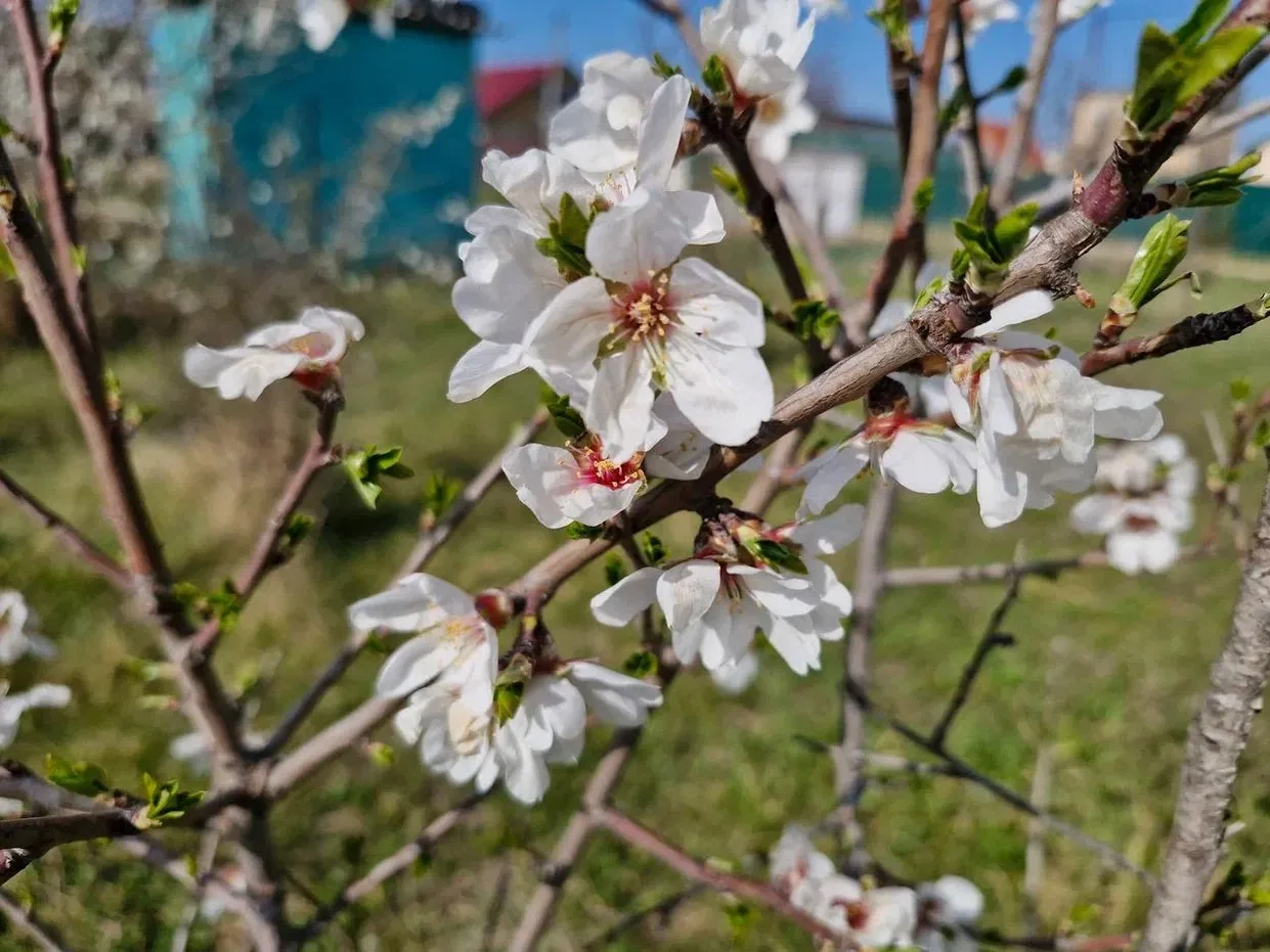 Фото: REGIONS/Наталия Надточая